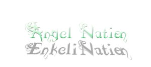 angel-nation-logo-trans